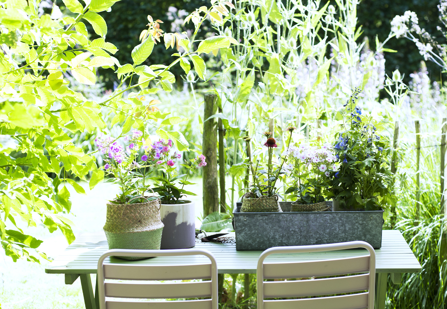 Styling ID Tips & Trends Zomerboeket uit eigen tuin tafel