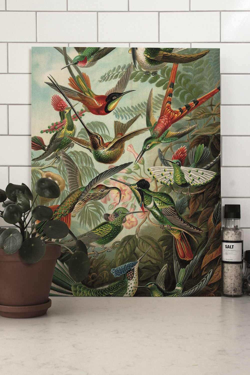 Styling ID Tips en Trends Houten muurdecoraties van KEK Amsterdam print op hout exotic-birds