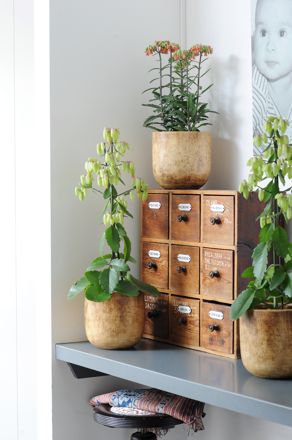 Styling ID tips en trends Breng sfeer in het interieur met een Kalanchoë