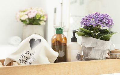 Een gezonde leefomgeving dankzij de Hortensia