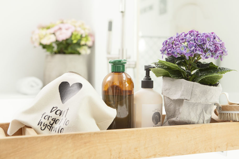 Styling ID Tips & Trends Een gezonde leefomgeving dankzij de Hortensia 3