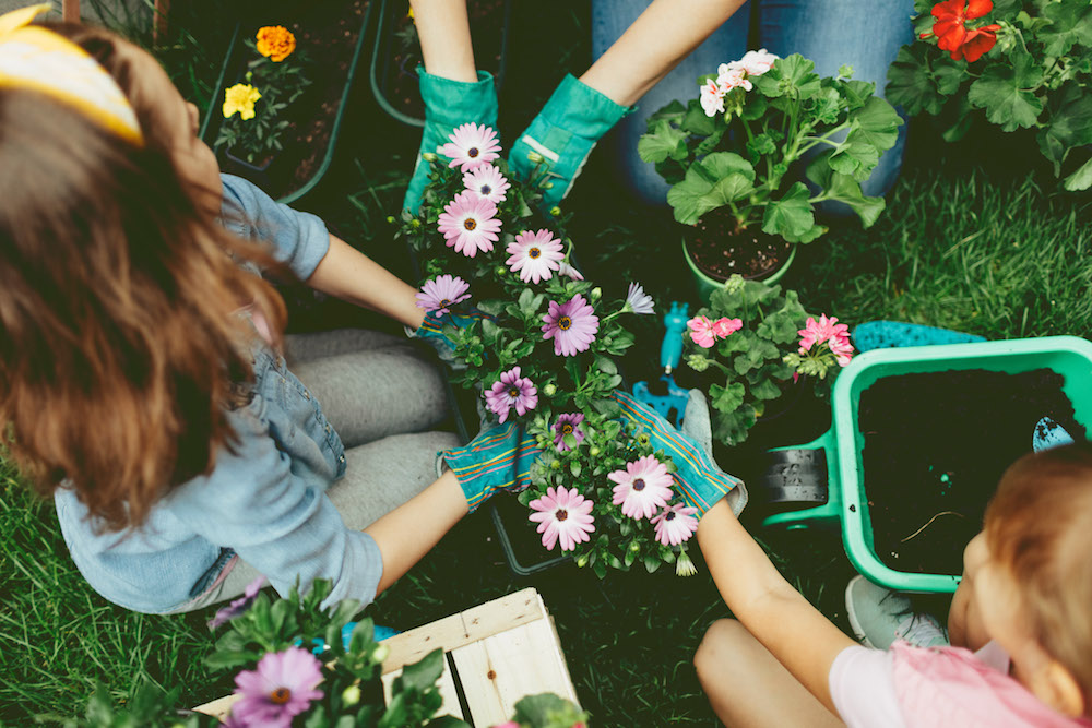 Styling ID Tips & Trends Inspiratie voor iedere tuin liefhebber plantjes