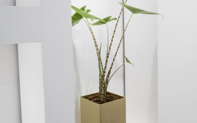 Scandinavian Simplicity