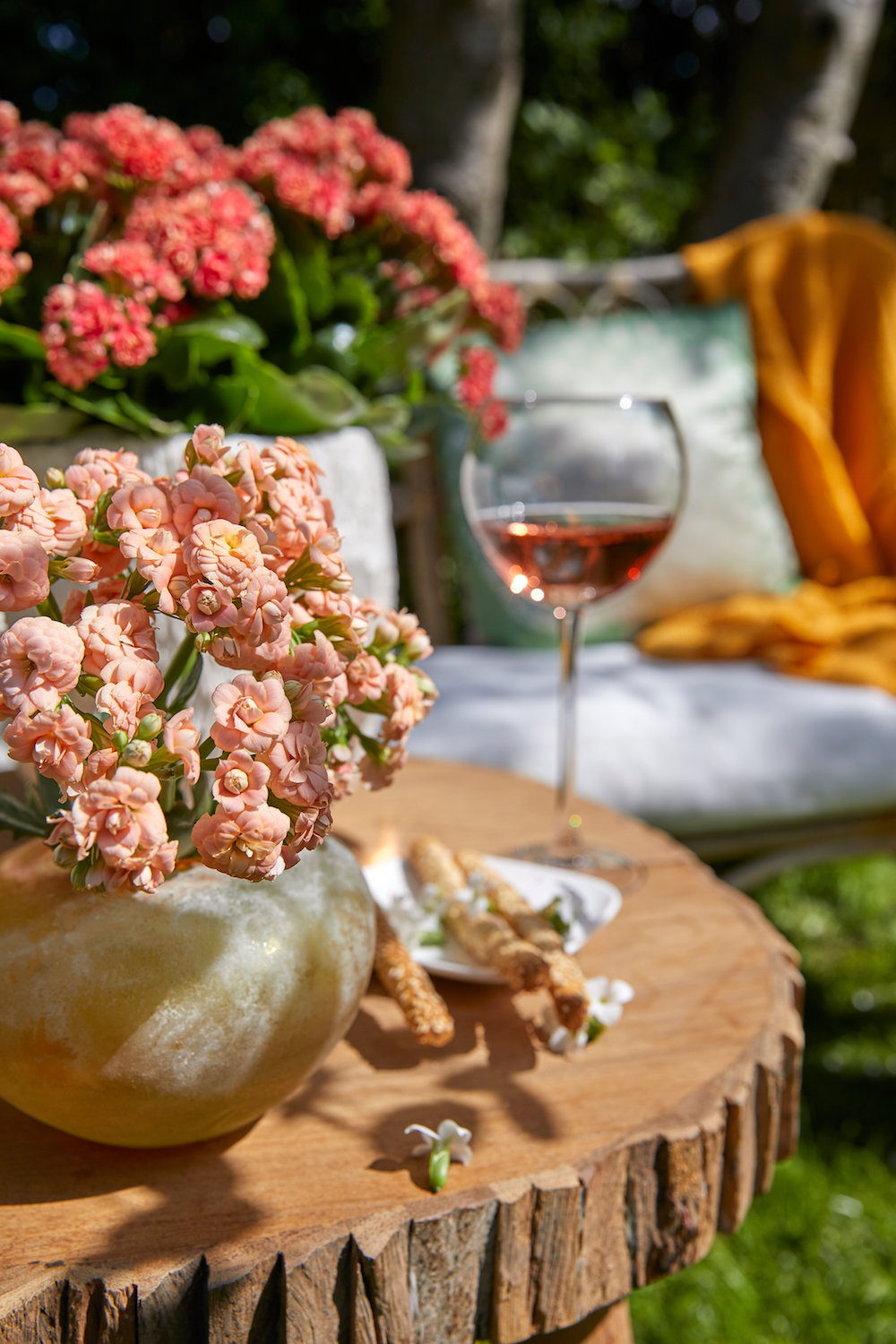 Styling ID Tips en Trends De ideale terrasplant is de Kalanchoë Garden 2