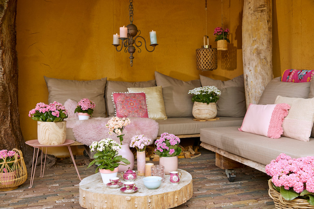 Styling ID Tips en Trends De ideale terrasplant is de Kalanchoë Garden