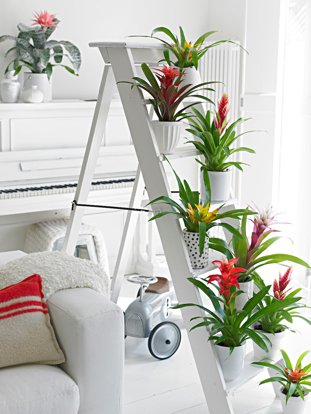 Styling ID Tips en Trends Groene trend- met kamerplanten een binnentuintje creeeren 6