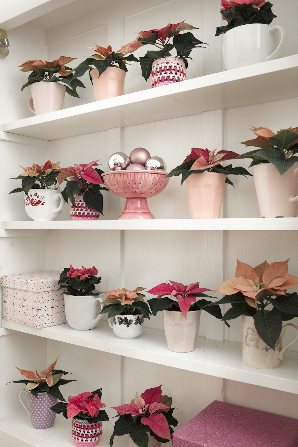 Styling ID Tips en Trends Stralende mini plantjes voor binnen 3