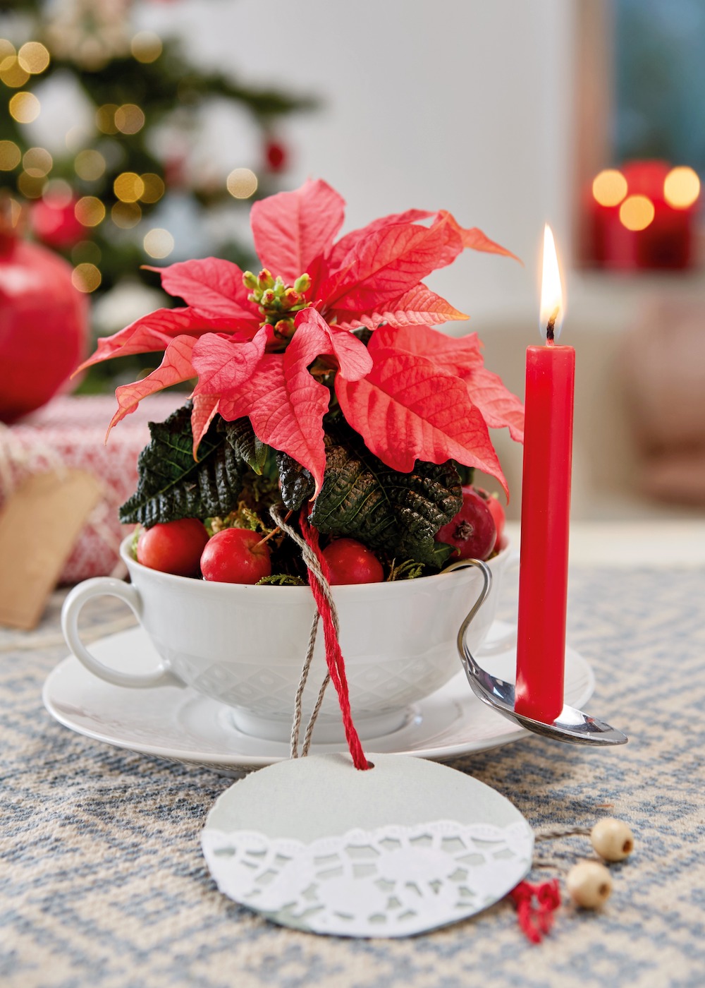 Styling ID Tips en Trends Stralende mini plantjes voor binnen 9