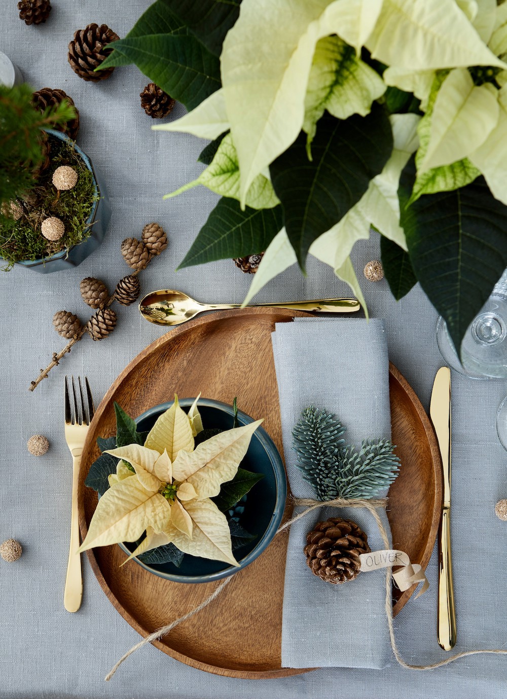 Styling-ID-Kerststerren-kleuren-het-najaar-3
