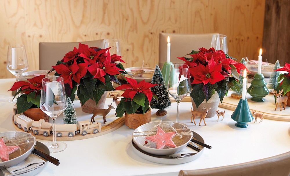 Styling-ID-Kerststerren-kleuren-het-najaar 7