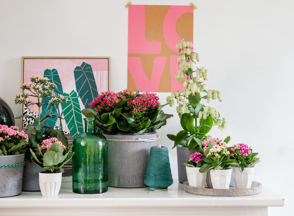 Styling ID Tips en trends Groene energie met kleur in je interieur 2