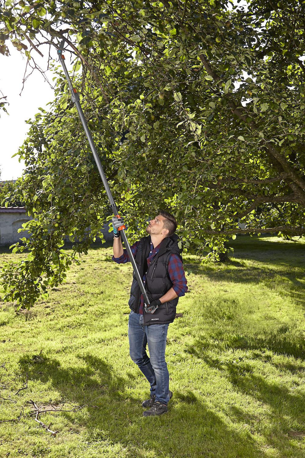 hoog-snoeien-zonder-trap 2