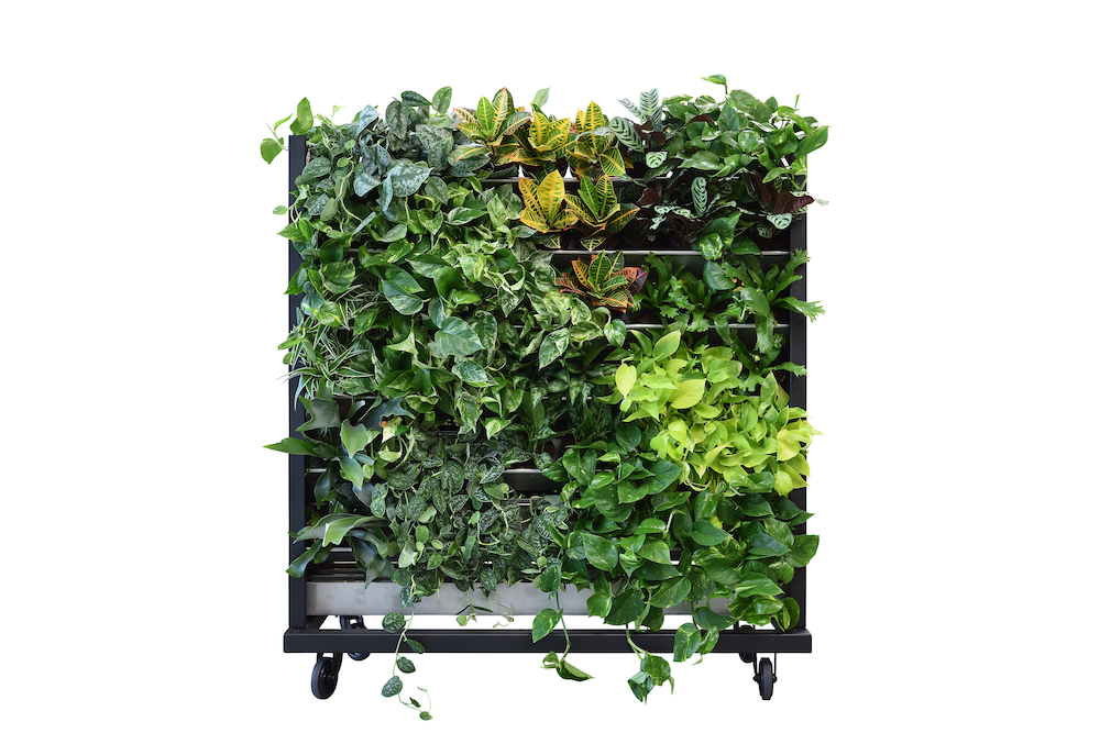 een-groene-leefomgeving-maakt-gelukkig een-groene-leefomgeving-maakt-gelukkig