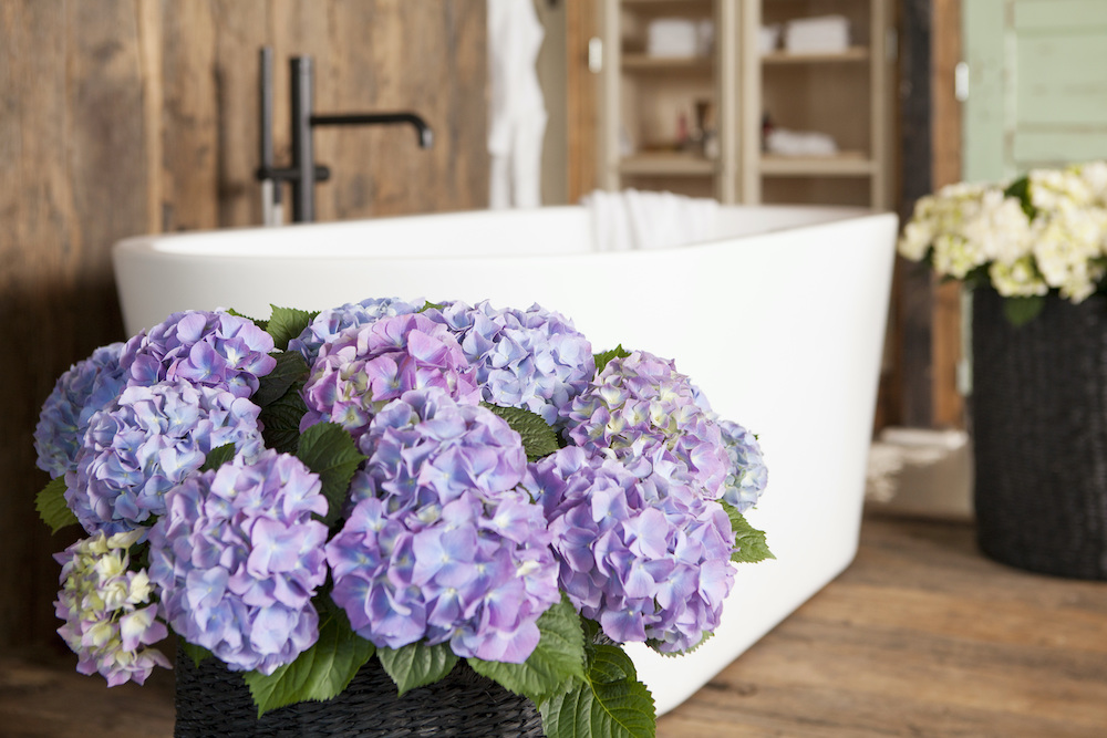 kleur-je-interieur-met-hortensias badkamer