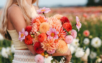 Nieuwe dahlia’s: kleurrijke must-haves voor je zomertuin